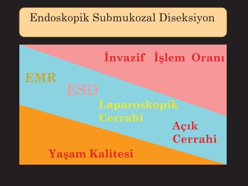 NÃ¶roendokrin TÃ¼mÃ¶rler - Prof. Dr. Sadettin HÃ¼lagÃ¼