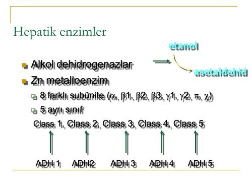 Alkolik KaraciÄer HastalÄ±ÄÄ± - Prof. Dr. Sadettin HÃ¼lagÃ¼