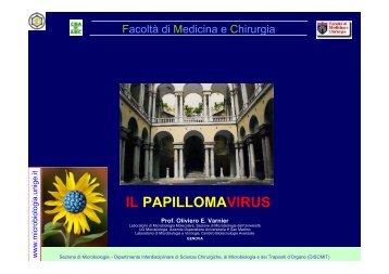 IL PAPILLOMAVIRUS - Sezione di Microbiologia