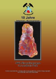 10 Jahre - AWO Mineraliengruppe