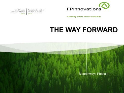 The Way Forward - Forest Products Association of Canada