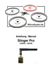 Stinger 25 Anleitung (deutsch)