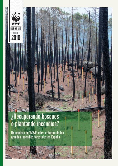 Â¿Recuperando bosques o plantando incendios? - WWF