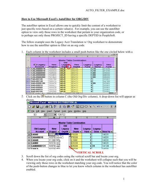 Excel Auto Filter Example (pdf)