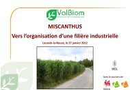 Les voies de valorisation du miscanthus - ValBiom