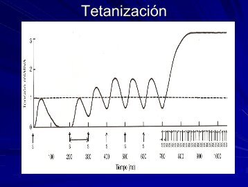 Sistema Muscular 2 Parte 3