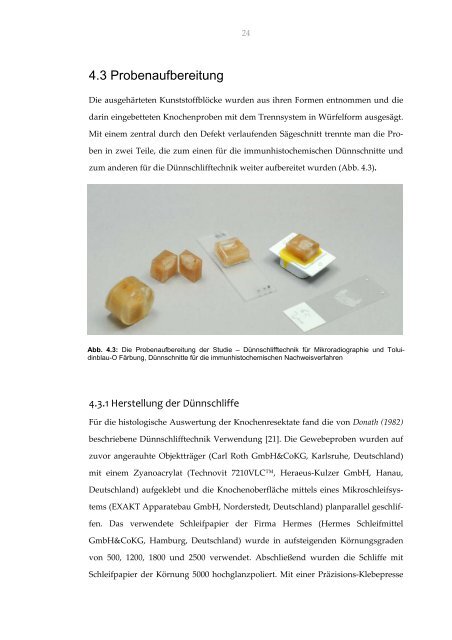 Ossäre Regeneration eines experimentellen critical-size Defektes ...