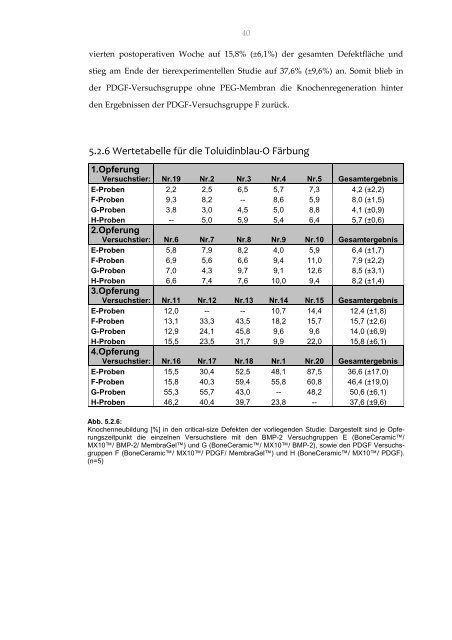 Ossäre Regeneration eines experimentellen critical-size Defektes ...