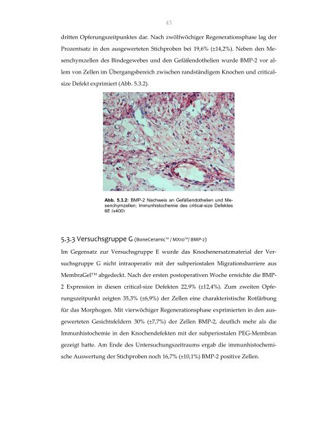 Ossäre Regeneration eines experimentellen critical-size Defektes ...