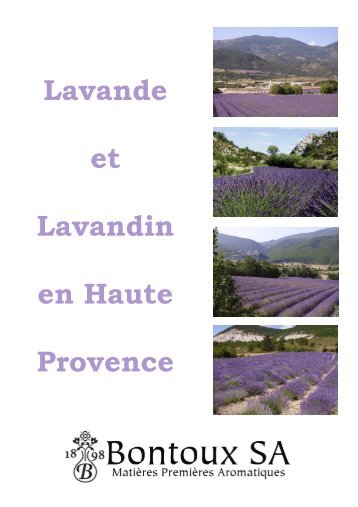 Lavande et Lavandin en Haute Provence - Bontoux S.A.