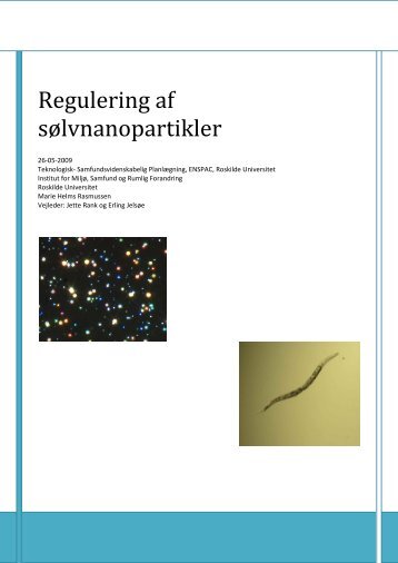 FÃƒÂ¦rdig rapport.pdf - Roskilde Universitet