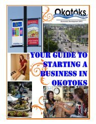 YOUR GUIDE TO STARTING A BUSINESS IN ... - Town of Okotoks