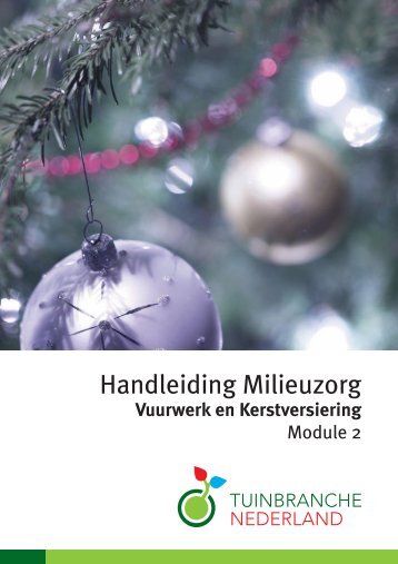 Module 2 Vuurwerk en kerstversiering.pdf - Brandweer