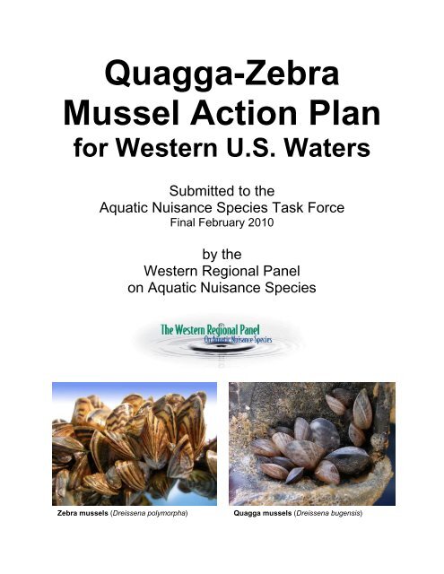 Quagga-Zebra Mussel Action Plan - Aquatic Nuisance Species Task