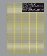 Benchmarking de las microfinanzas en MÃ©xico 2010 ... - ProDesarrollo