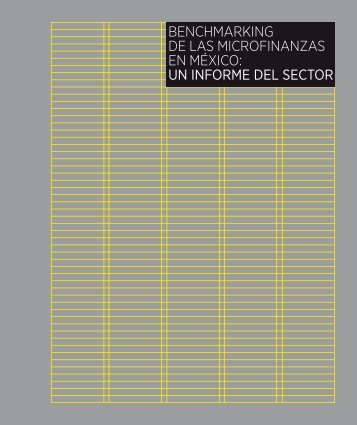 Benchmarking de las microfinanzas en MÃ©xico 2010 ... - ProDesarrollo