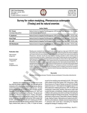 Survey for cotton mealybug, Phenacoccus solenopsis - Journal of ...