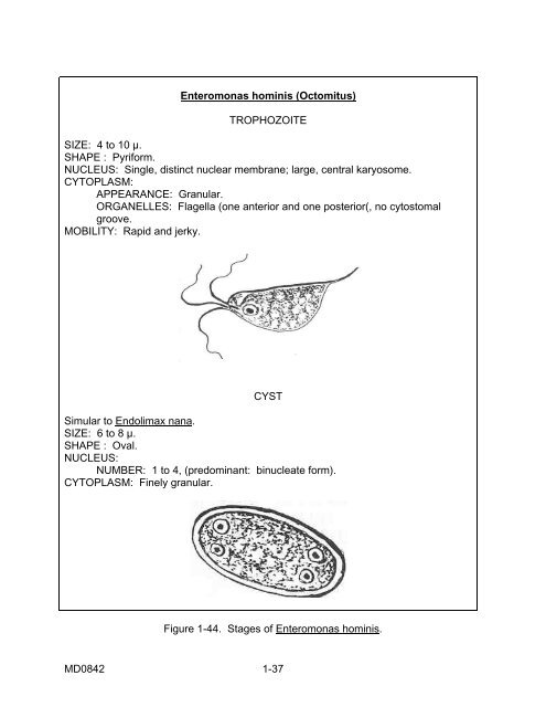 PARASITOLOGY II - Modern Prepper