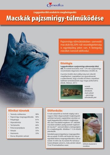 MacskÃ¡k pajzsmirigy-tÃºlmÅ±kÃ¶dÃ©se - NetNews