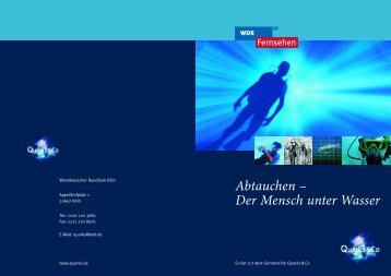 Abtauchen – Der Mensch unter Wasser