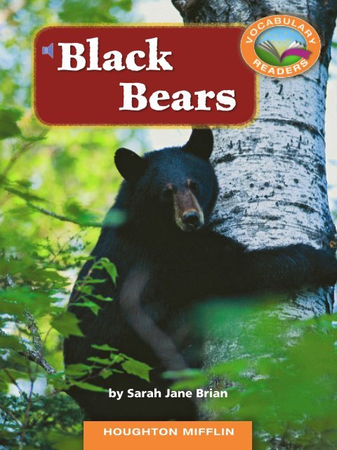 Lesson 7:Black Bears