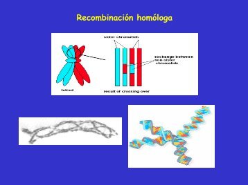 5.desequilibrio de ligamiento.pdf