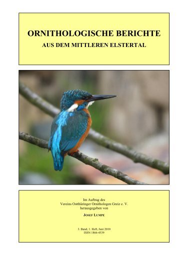 ORNITHOLOGISCHE BERICHTE AUS DEM MITTLEREN ELSTERTAL