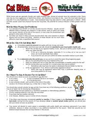 Cat Bites - Worms and Germs Blog
