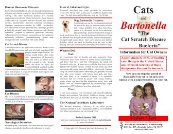 Cats Bartonella - National Veterinary Laboratory, Inc.