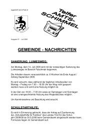 Amtsschimmel Nr. 47 - Juli 2008.pdf - Gemeinde Telfes im Stubai