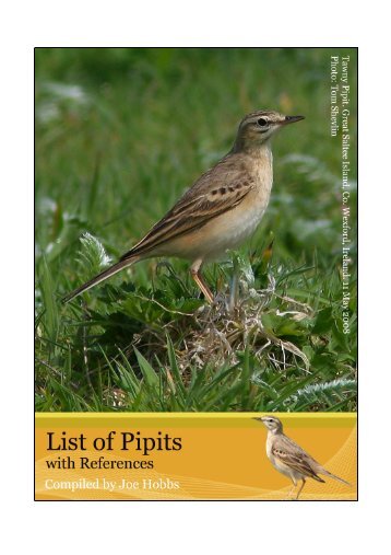 List of pipits with references - Dutch Birding