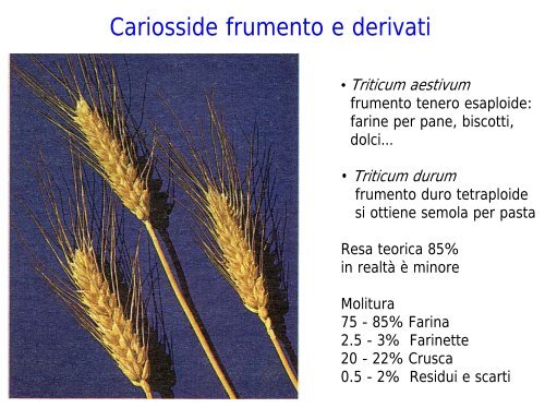 LABORATORIO