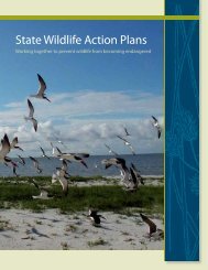 State WAP Revised 8.29.06.indd - Teaming With Wildlife