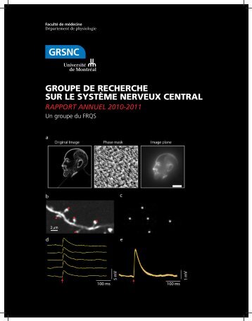 Rapport annuel complet - GRSNC - UniversitÃ© de MontrÃ©al