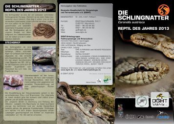 Flyer - Amphibien