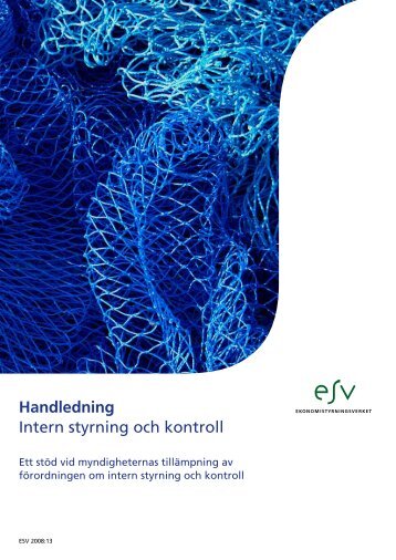 Handledning Intern Styrning och Kontroll Ekonomistyrningsverket