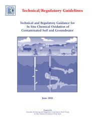 Technical and Regulatory Guidance for In Situ Chemical ... - ITRC