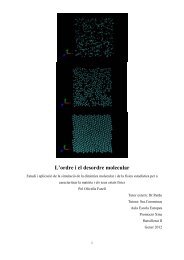 L'ordre i el desordre molecular - Pol Olivella Farell.pdf - Aula