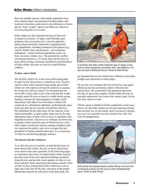 Killer Whale: - Orca Network