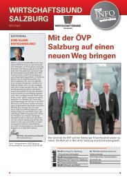 Mit der ÃVP Salzburg auf einen neuen Weg bringen