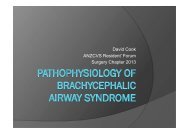 Pathophysiology of Brachycephalic Airway Syndrome