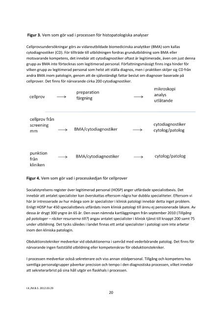 Svensk patologi â en Ã¶versyn och fÃ¶rslag till Ã¥tgÃ¤rder - Region SkÃ¥ne