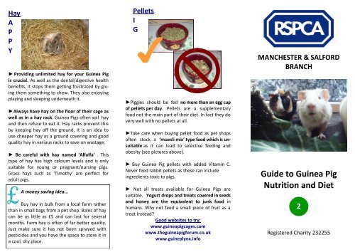 Guinea Lynx Food Chart