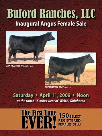 Buford Ranches, LLC - Angus Journal