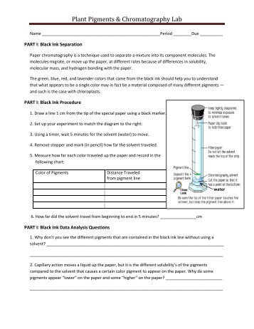 Plant Pigments & Chromatography Lab