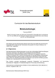 Curriculum fÃ¼r das Bachelorstudium ... - mibla.TUGraz.at