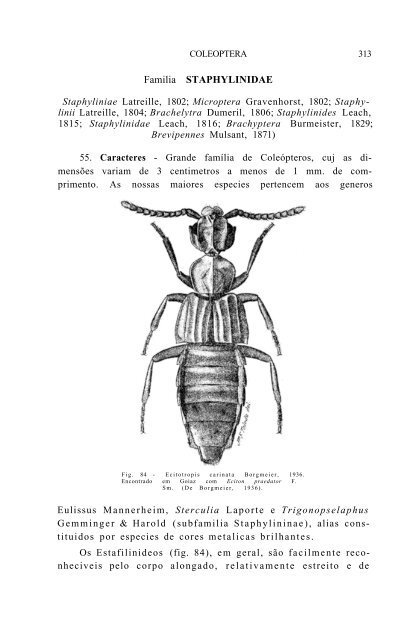 FamÃƒÂ­lia STAPHYLINIDAE - Acervo Digital de Obras Especiais