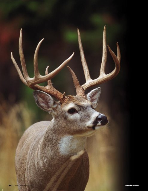 Boone and Crockett Club Annual Reports