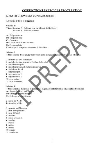 CORRECTIONS EXERCICES PROCREATION - Poly-Prepas