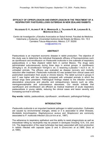 efficacy of ciprofloxacin and enrofloxacin in the - World Rabbit ...